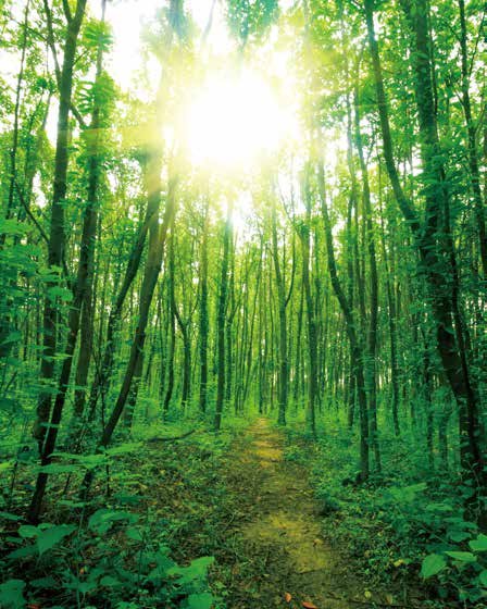 Agriculture & Irrigation